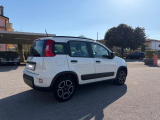 auto/images/23737.jpg