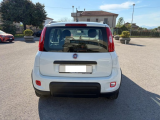 auto/images/23738.jpg