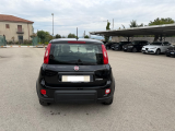 auto/images/24217.jpg